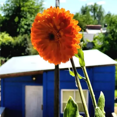 Alojamiento Alquiler Temporario Las Flores  Exterior foto